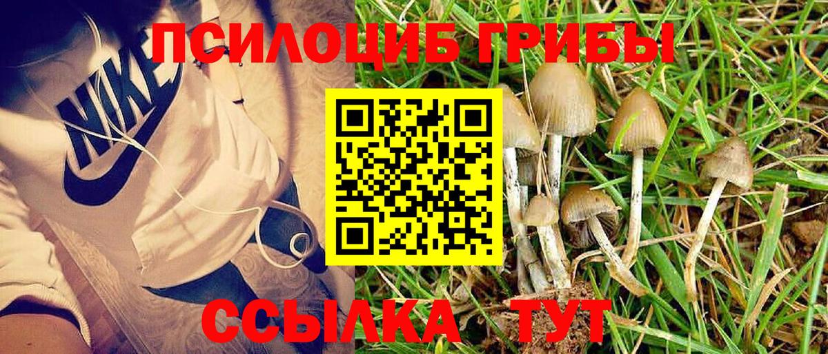 Галлюциногенные грибы Cubensis Елизово