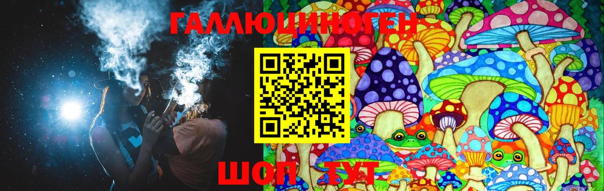 Галлюциногенные грибы Psilocybe  Вход с VPN  Елизово 